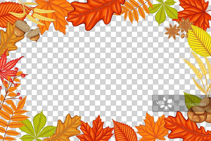 秋季框架，装饰着枫树的秋叶图片素材