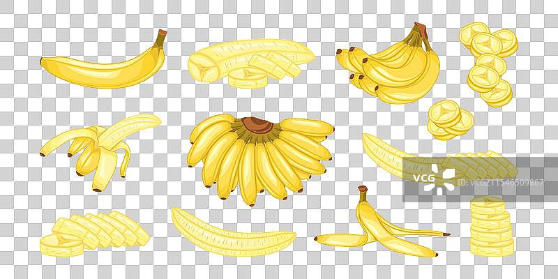 卡通香蕉组合热带水果图片素材