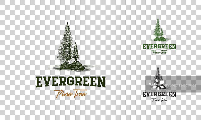 手绘松树复古标志常青冷杉图片素材
