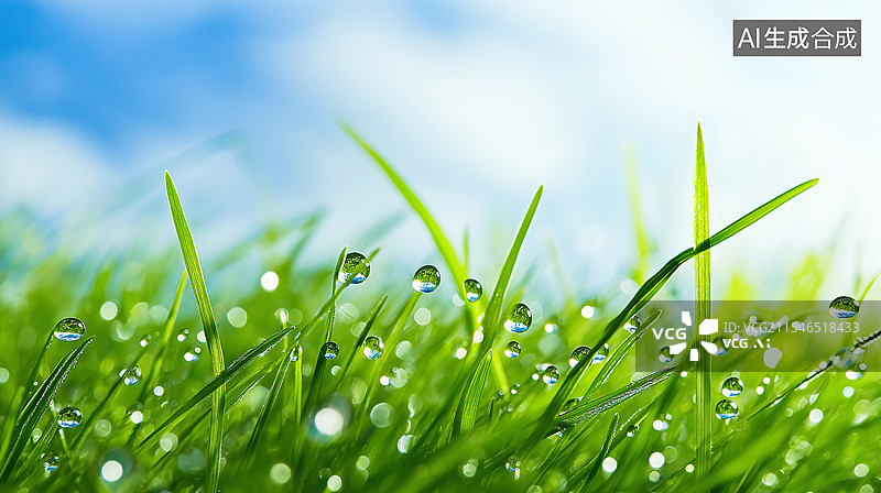 【AI数字艺术】清晨绿植上的露珠图片素材
