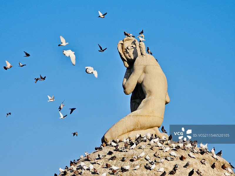 厦门白鹭女神雕塑图片素材