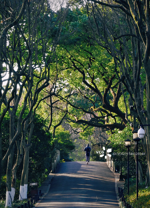 苏堤晨运的人图片素材