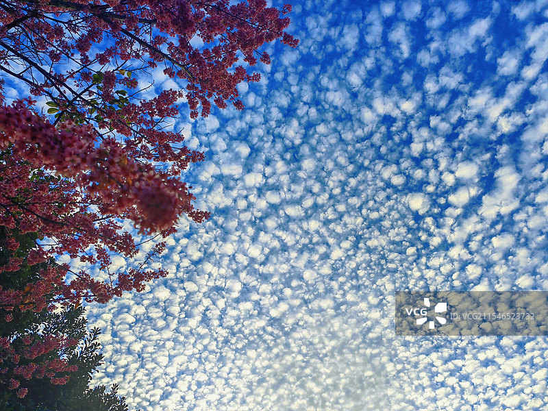 麟状云图片素材