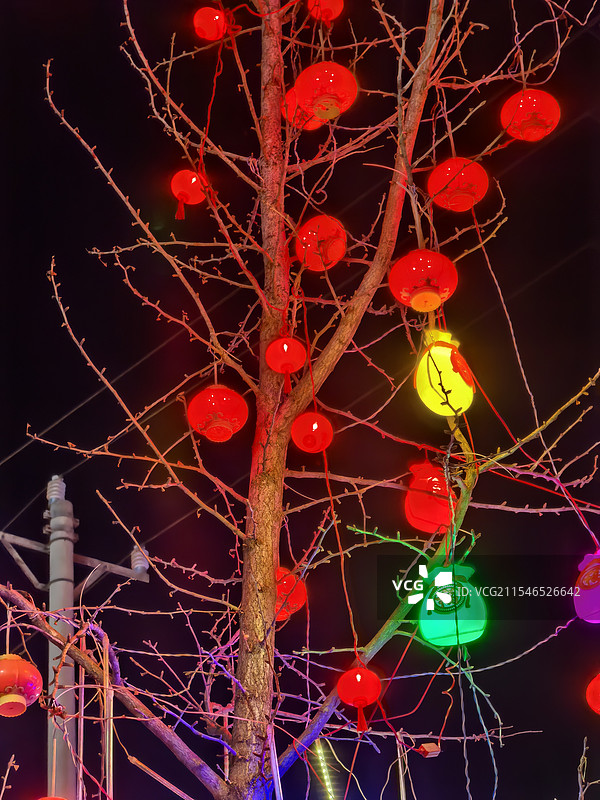 雄安新区雄县春节美景抓拍图片素材