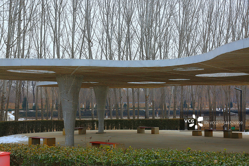 雄安新区雄县清晨正月初三美景抓拍图片素材