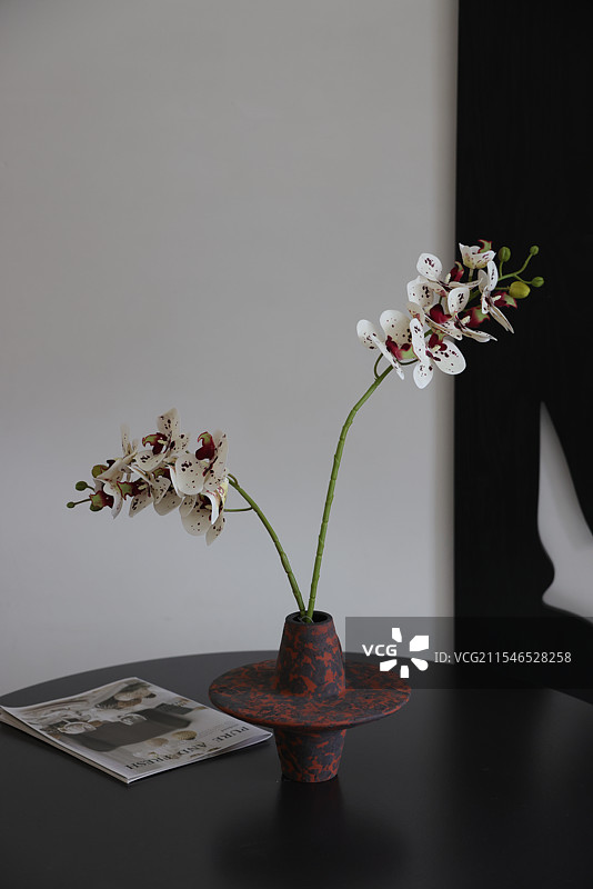 红褐色斑点花瓶里的白兰花图片素材