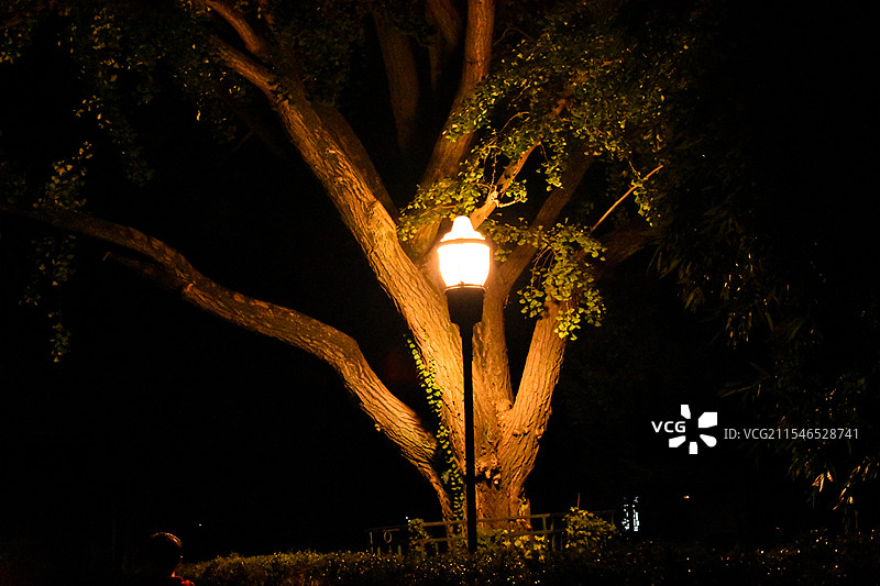 夜间照明灯柱的低角度视图图片素材