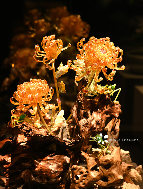 淄博琉璃菊花图片素材