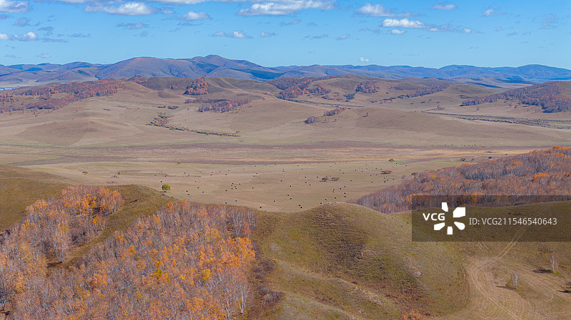 内蒙乌兰布统金秋图片素材