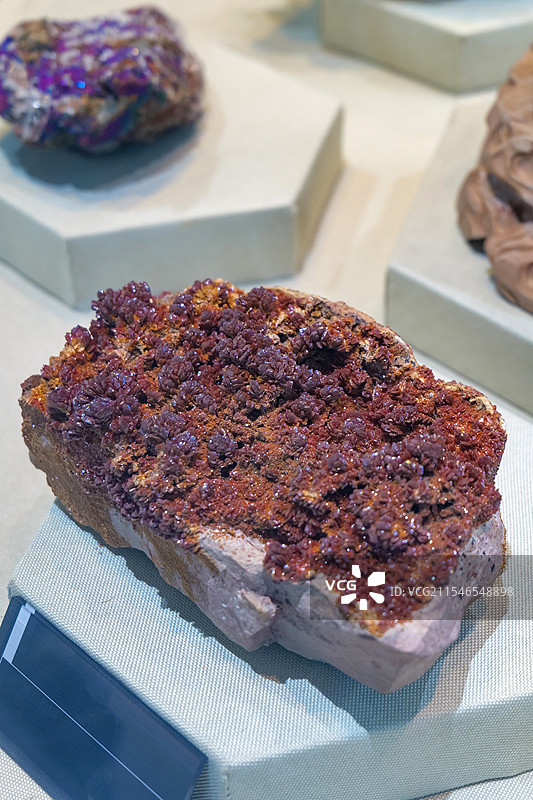 钒铅矿 德国产 山东省地质博物馆图片素材