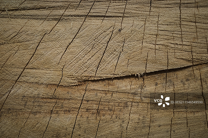 木头裂纹图片素材