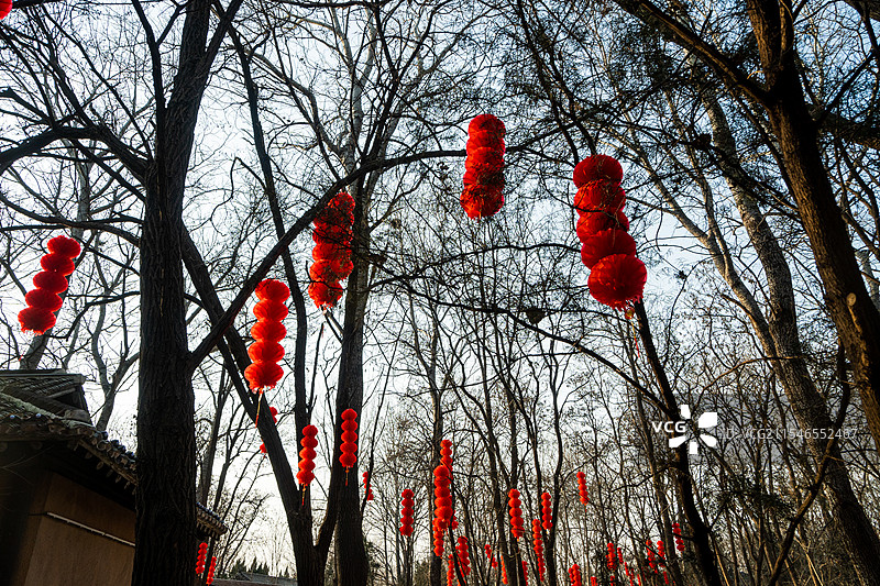 聊城阳谷景阳冈旅游区图片素材