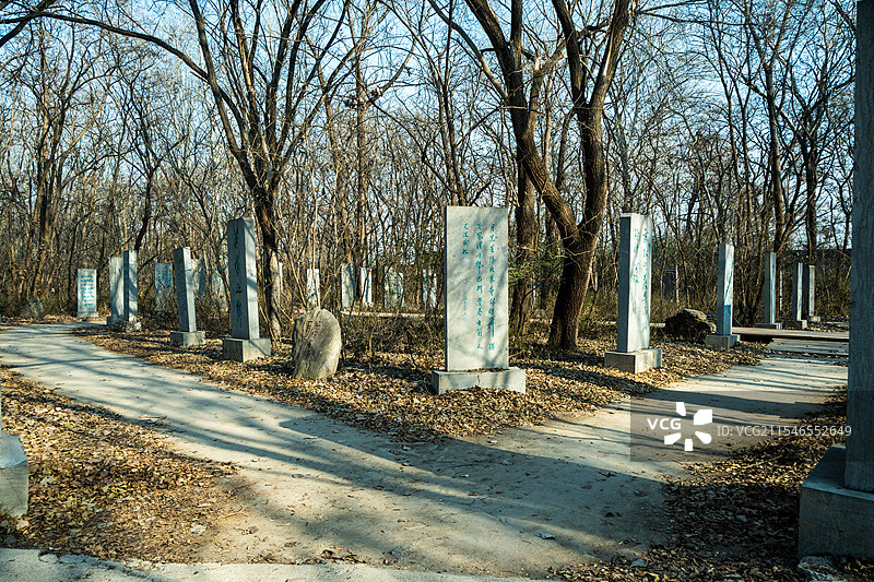 聊城阳谷景阳冈旅游区图片素材