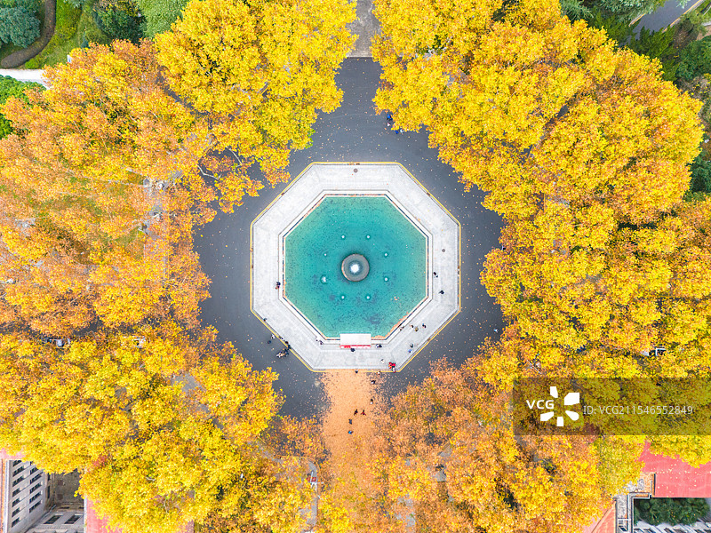 南京东南大学秋色航拍图片素材