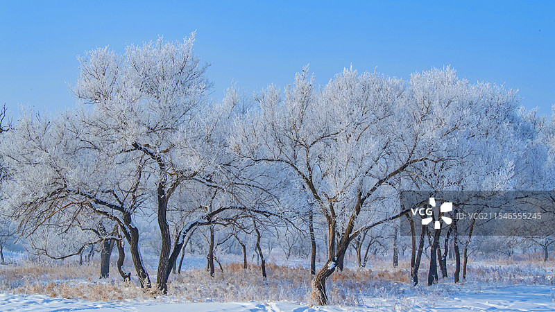黑龙江齐齐哈尔：银装素裹明月岛图片素材