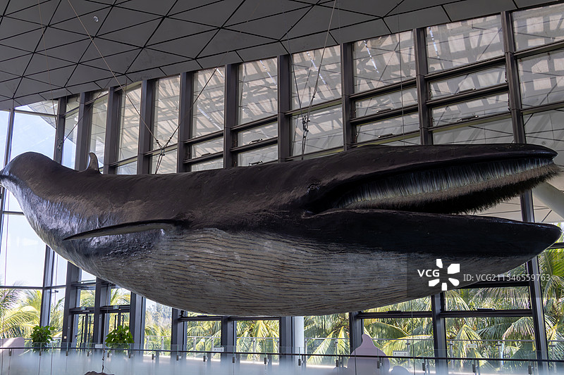 中国南海博物馆图片素材