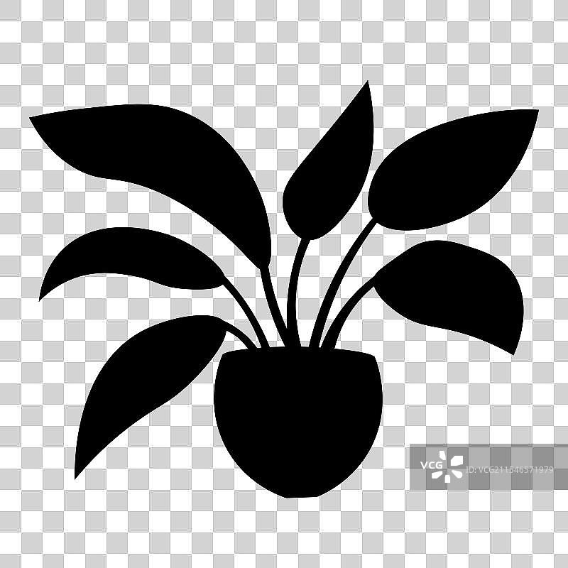 花卉植物盆栽剪影涂鸦图片素材