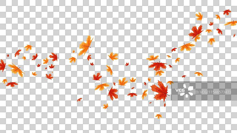 秋天的落叶孤立在白色背景上图片素材