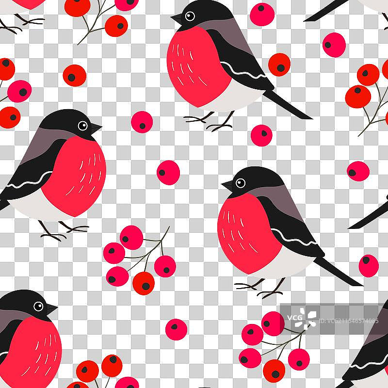 有趣的彩色红腹灰雀无缝图案图片素材