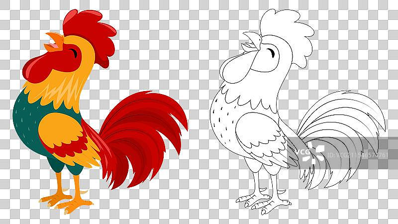 可爱的卡通公鸡涂色页，适合儿童使用图片素材