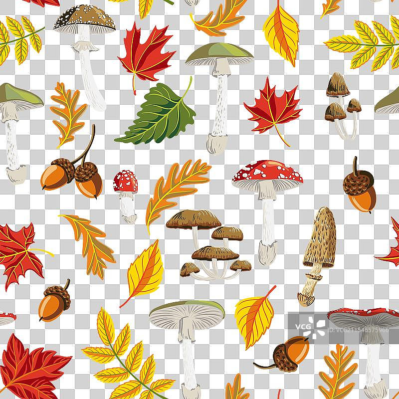 无缝蘑菇图案图片素材