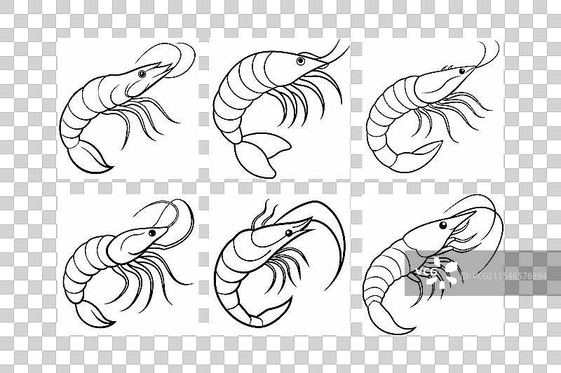 虾的干净优雅线条图片素材