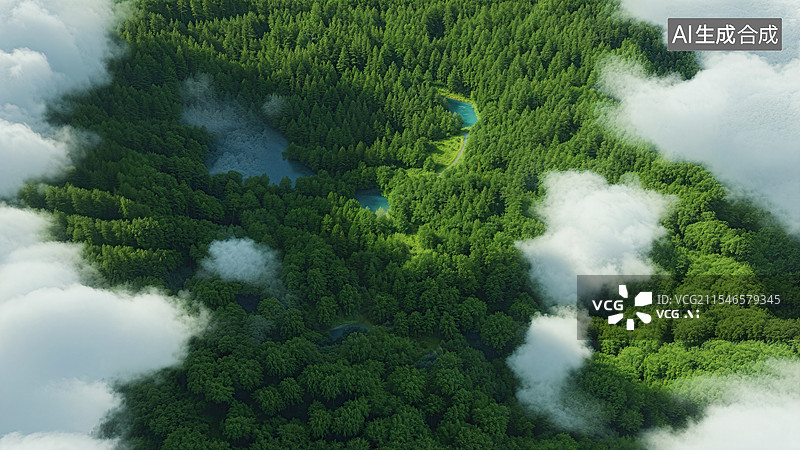【AI数字艺术】航拍鸟瞰森林图片素材