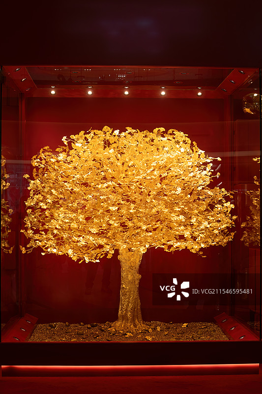 成都街头黄金树图片素材