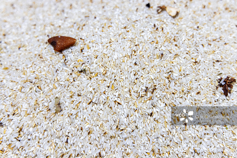 美食食材 制作粉蒸肉（鲊肉）使用的炒制鲊面（蒸肉米粉）图片素材