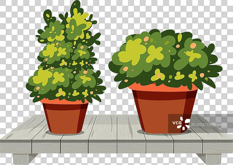 两盆郁郁葱葱的绿色植物放在灰色长椅上图片素材