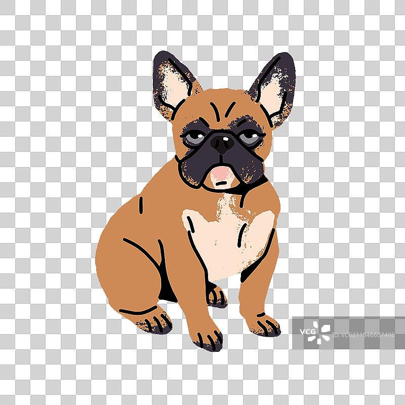 可爱的淡色法国斗牛犬快乐的小狗图片素材