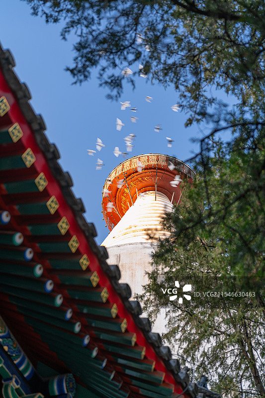 北京白塔寺图片素材