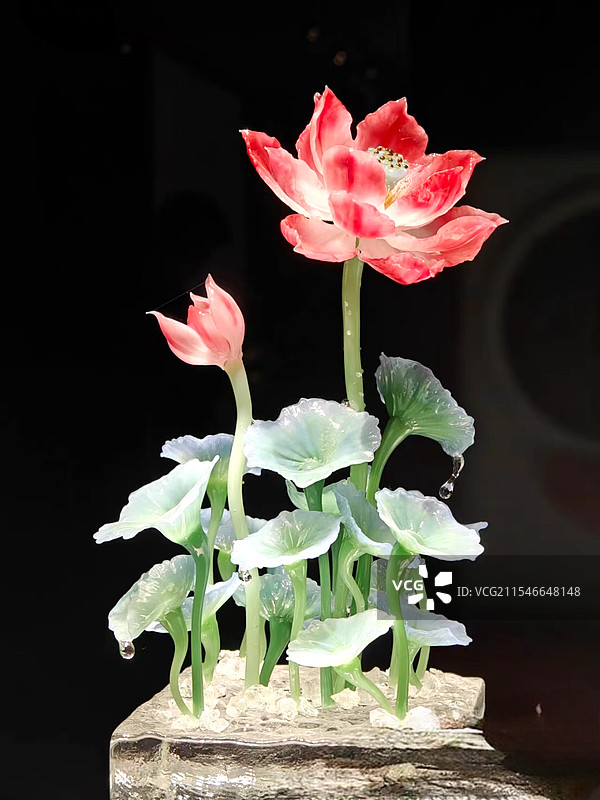 淄博琉璃荷花图片素材