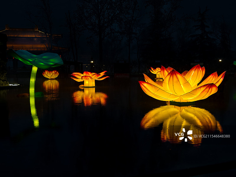 兴庆宫的莲花灯图片素材