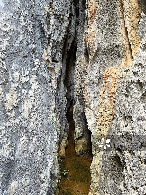 云南石林风景区图片素材