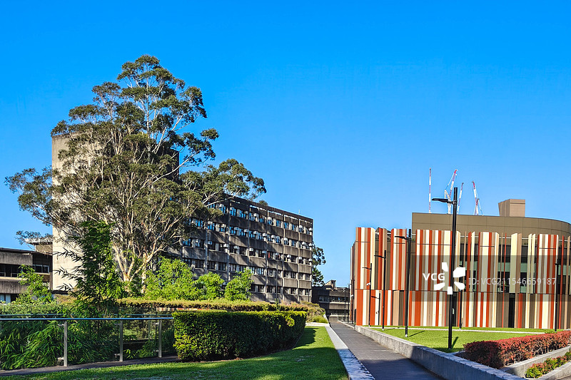 麦考瑞大学 macquarie university图片素材