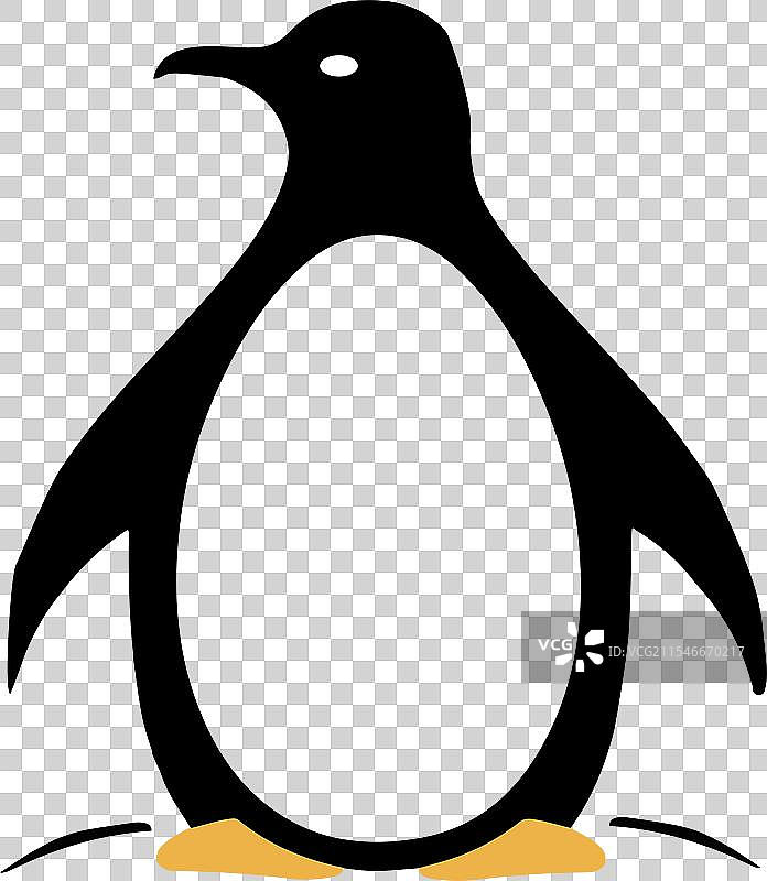 企鹅肚子里的蛋图片素材