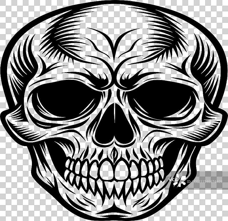 骷髅艺术 2图片素材