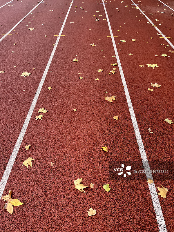 落叶与标准跑道图片素材