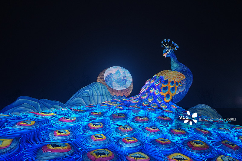 自贡灯会蓝孔雀图片素材