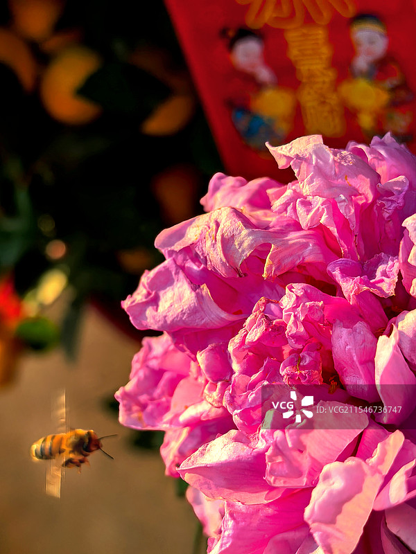 【二月你好】正月初四图片素材