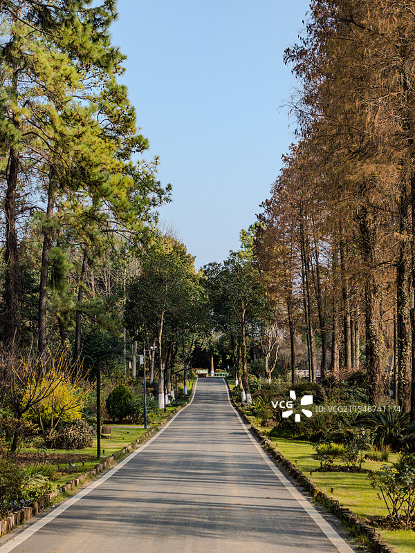 武汉植物园图片素材