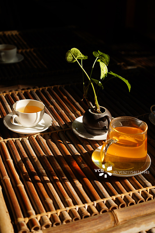 阳光下的茶图片素材