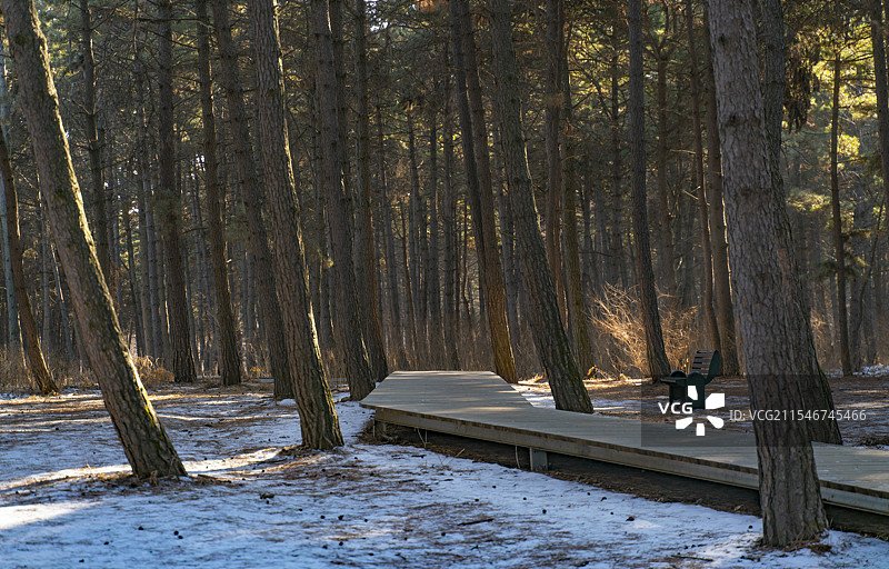 净月潭图片素材