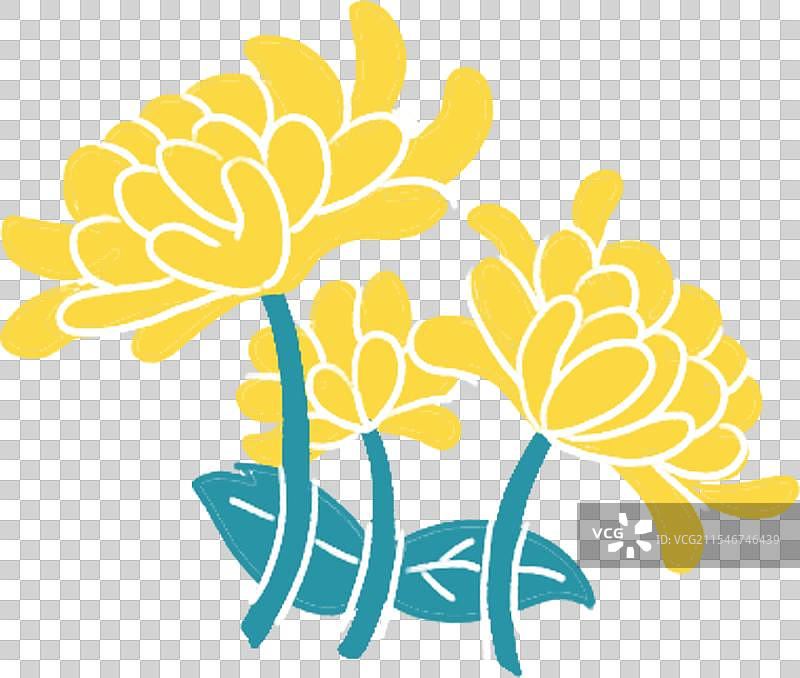 菊花图片素材