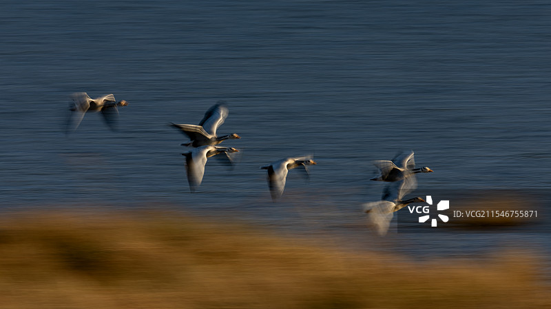 云南曲靖野生动物保护区图片素材