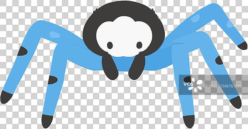 蜘蛛蜕皮网捕猎昆虫图片素材