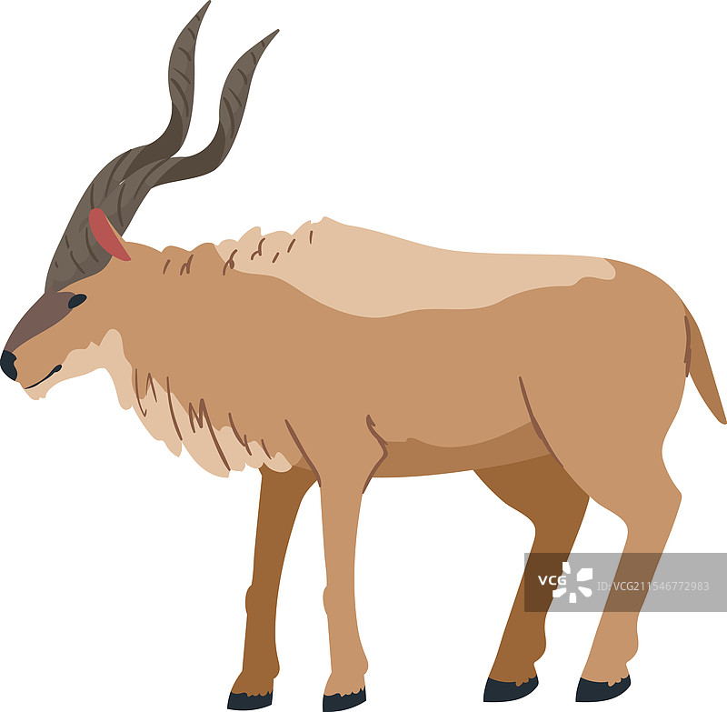 阿达克斯羚羊，沙漠动物图片素材