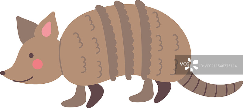 犰狳，沙漠动物图片素材
