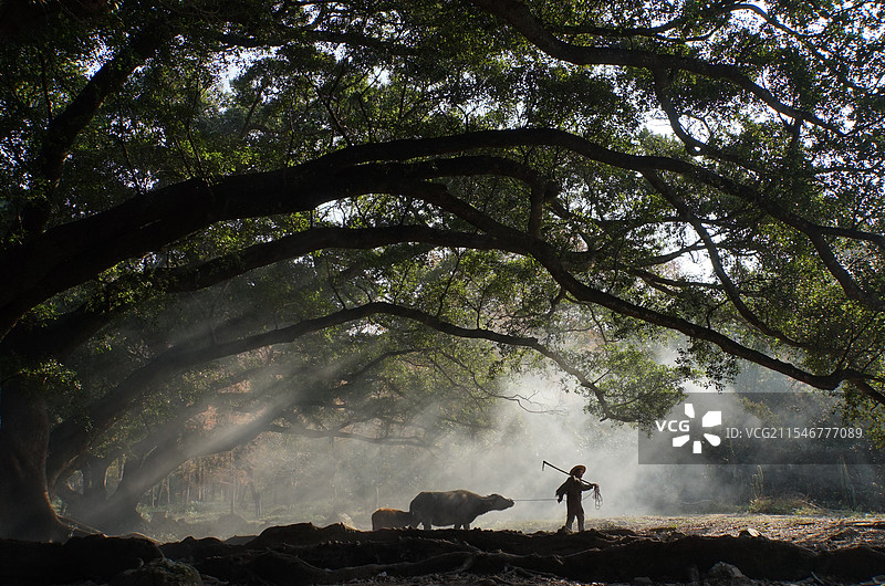 田园牧歌图片素材